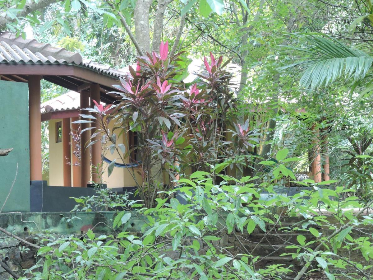 Richards Cabanas Tissamaharama Extérieur photo